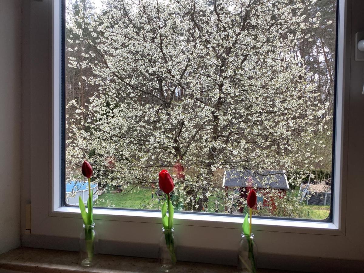 Ferienwohnung Schwarzachhoehe Nur Fuer Erwachsene Вендельштайн Екстер'єр фото